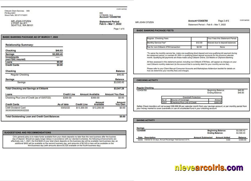 Australia Citibank Bank Statement